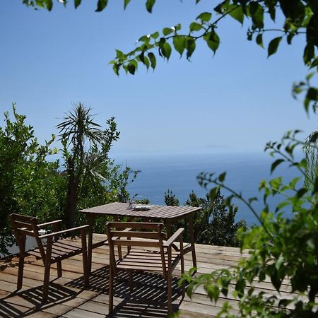 Casa Flora Bed & Breakfast Vietri sul Mare Exterior photo
