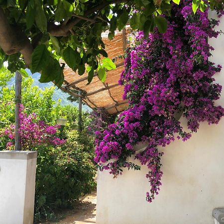 Casa Flora Bed & Breakfast Vietri sul Mare Exterior photo