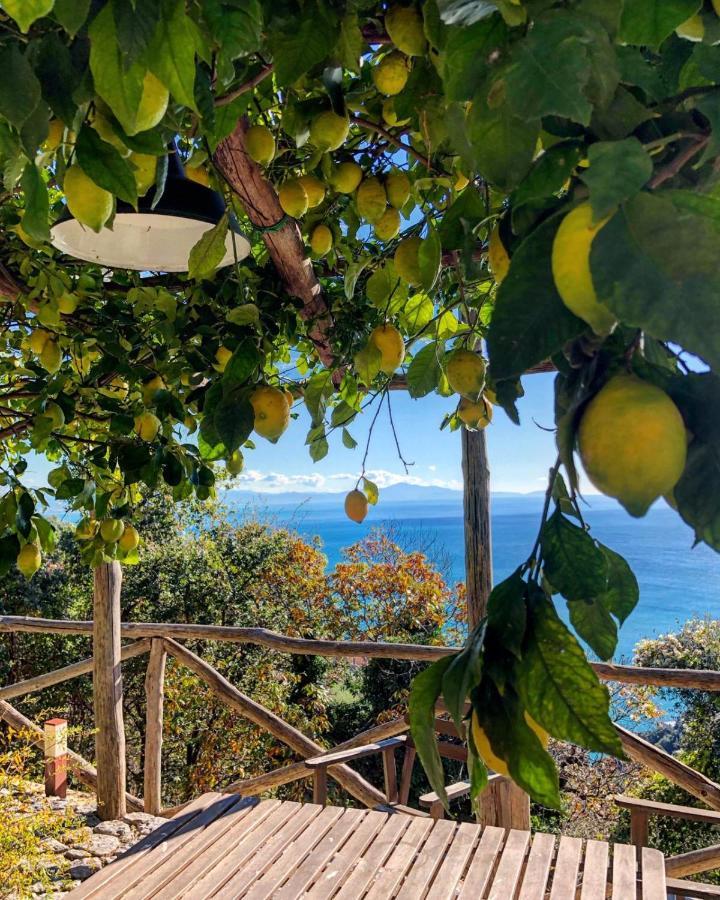 Casa Flora Bed & Breakfast Vietri sul Mare Exterior photo
