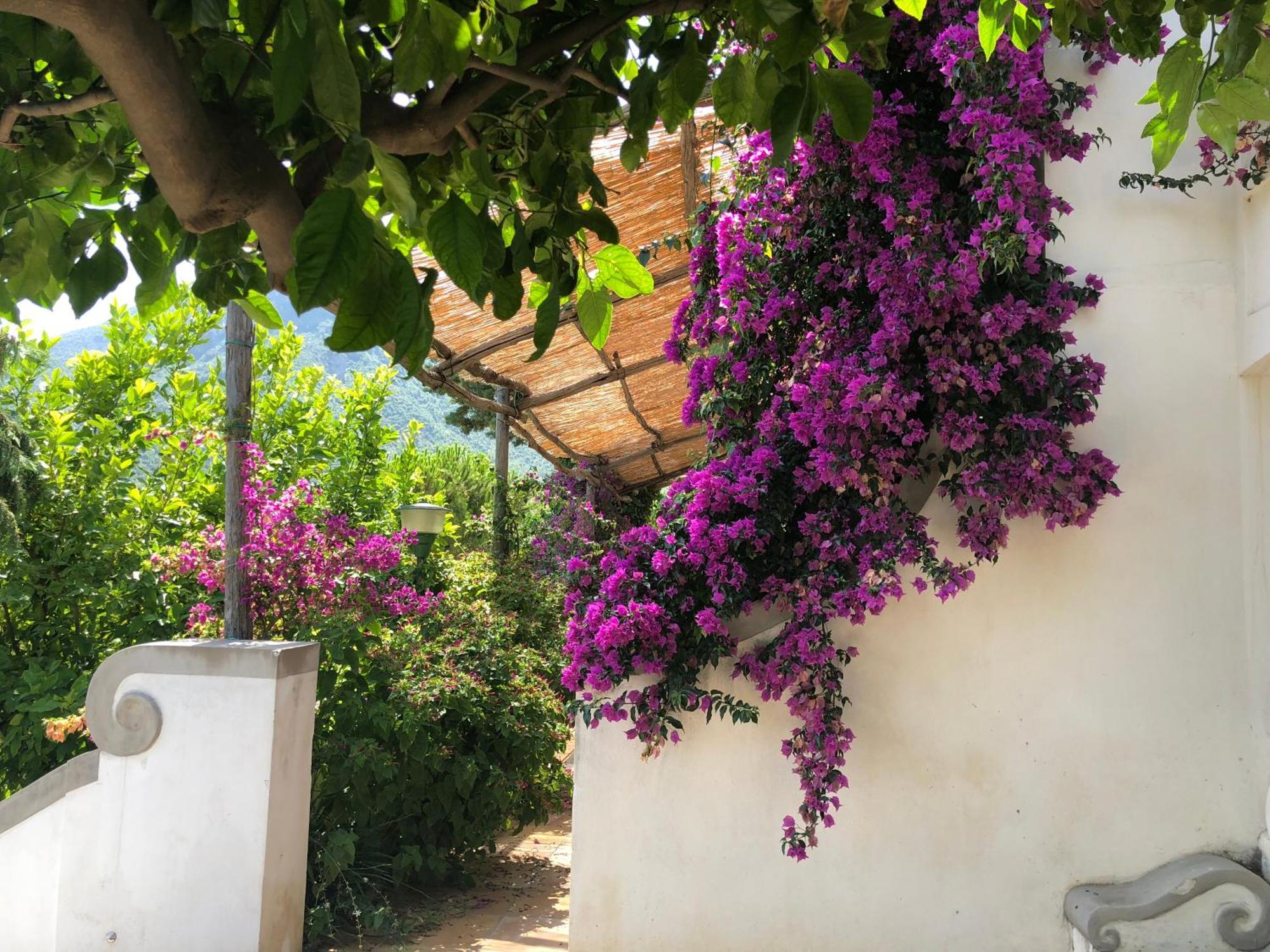 Casa Flora Bed & Breakfast Vietri sul Mare Exterior photo