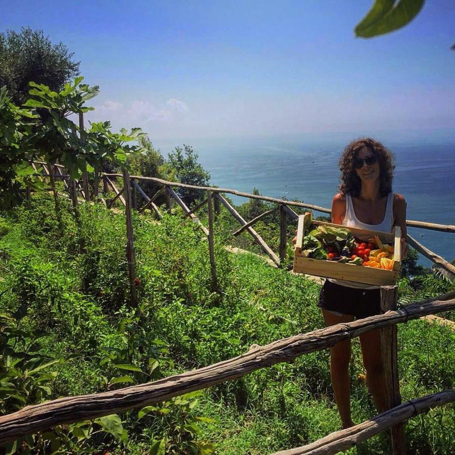 Casa Flora Bed & Breakfast Vietri sul Mare Exterior photo